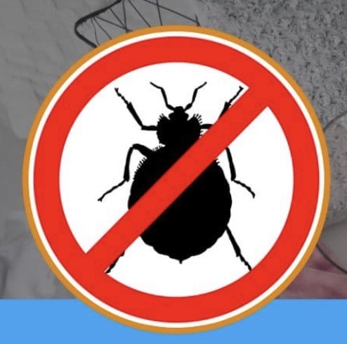 Bed Bug Extermination
