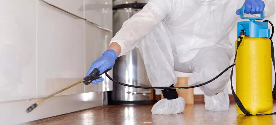 Commercial Pest Control