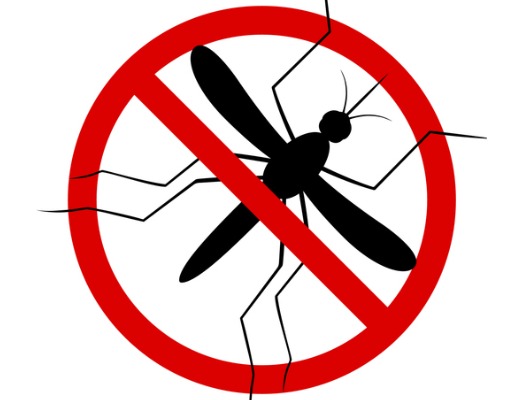 Mosquito & Wasp Control